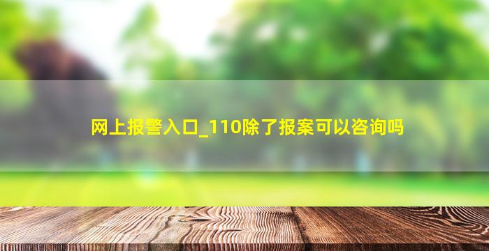 网上报警入口_110除了报案可以咨询吗,网上报警入口